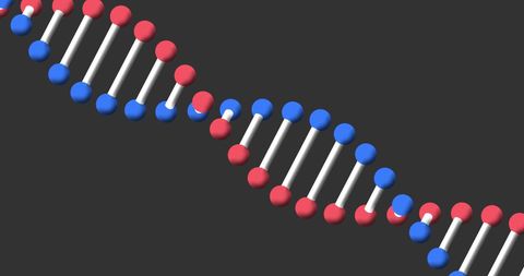 Digital 3D DNA Strand Spinning on Grey Background - Download Free Stock Images Pikwizard.com