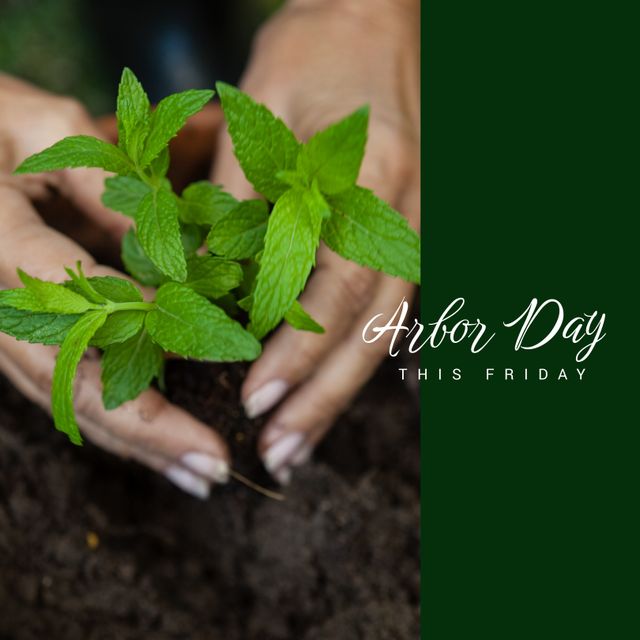 Hands Planting Mint Seedling for Arbor Day Celebration - Download Free Stock Templates Pikwizard.com