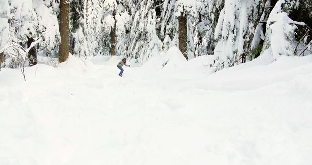 A young Caucasian boy enjoys snowboarding down a snowy forest slope, with copy space. His winter sport activity amidst the serene, snow-laden trees captures the thrill of outdoor adventures in cold weather.