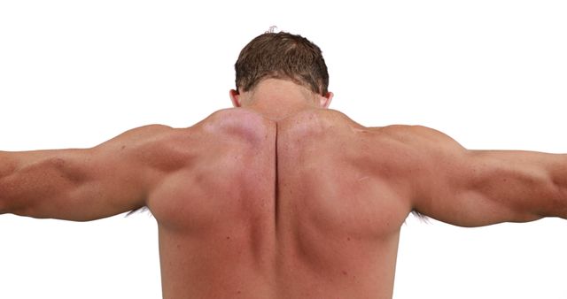 Muscular Male Back with Outstretched Arms - Download Free Stock Images Pikwizard.com