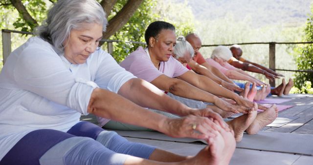 Happy diverse senior yoga group sitting touching toes in sunny nature, slow motion. Friendship, summer, retirement, yoga, wellbeing and healthy senior lifestyle, unaltered.