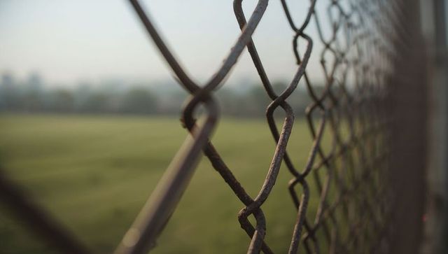 Rusted Chain-Link Fence Framing Blurred Green Field and Distant Tree Line