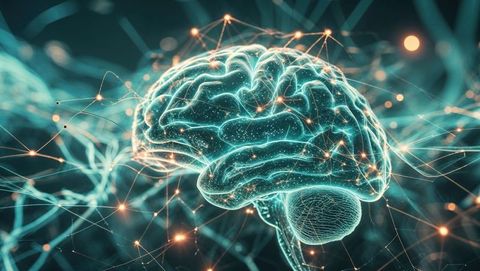 3d glowing brain model visualizing neural network connectivity