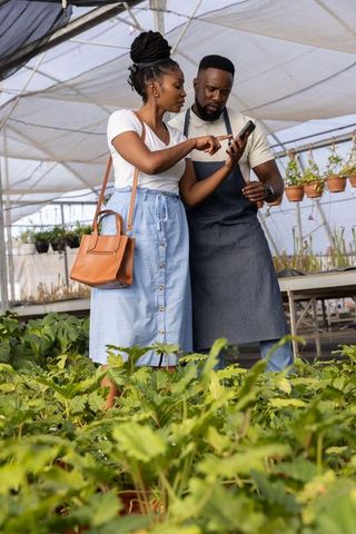 Greenhouse retail team consulting mobile device while inspecting potted plant inventory