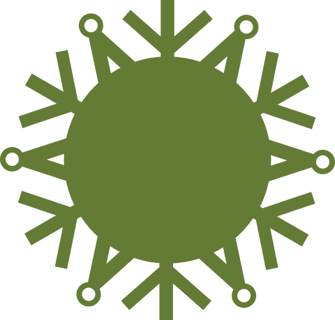 Green Snowflake Illustration on Transparent Background - Download Free Stock Videos Pikwizard.com
