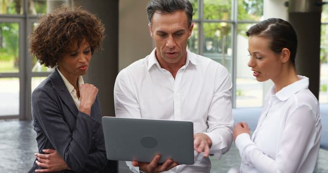 Diverse Business Team Reviewing Information on Laptop - Download Free Stock Images Pikwizard.com