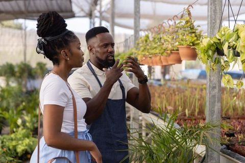 African american customer receiving plant care advice from nursery staff in greenhouse