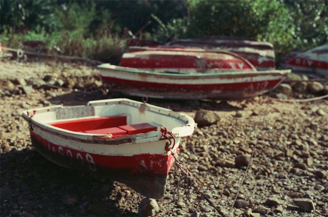 Red rowboats lying unused on a dry riverbed under sunlight, illustrating effects of drought and low water levels. Perfect for use in environmental awareness campaigns, articles about climate change, and rural or rustic-themed projects. Could be used to depict themes of abandonment or seasonal changes.
