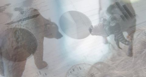 Business Data Analysis with Bear and Bull Figures