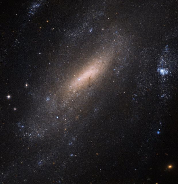 This detailed image showcases the barred spiral galaxy IC 5201 in the constellation Grus, captured from over 40 million light-years away by the NASA/ESA Hubble Space Telescope using its Advanced Camera for Surveys. This image can be used for educational purposes, astronomy research, space-related media, and as compelling content for science-focused blogs or social media posts.