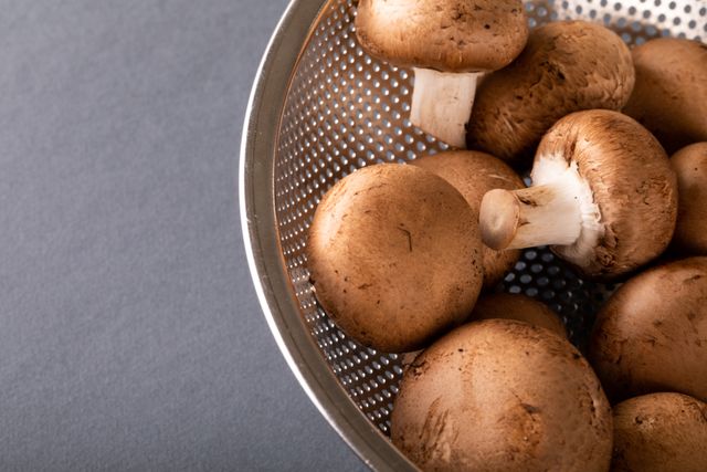 High angle view of fresh edible mushrooms in colander on gray background. unaltered, organic food and healthy eating concept.