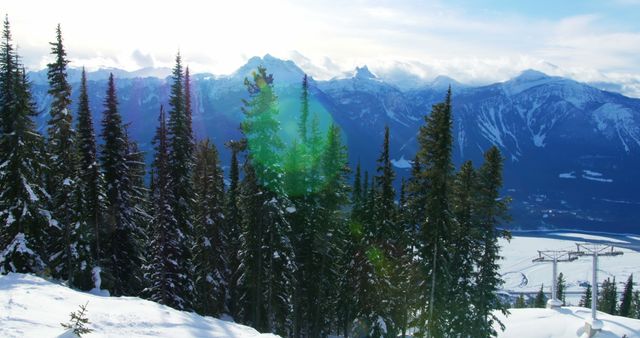 Snow-covered fir trees in foreground with majestic mountains in background. Sunlight filtering through clouds. Ideal for winter travel promotions, nature and outdoor adventure content, or scenic postcards.