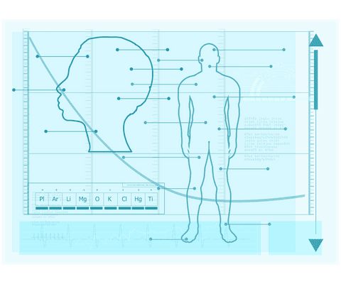 Transparent Tech Interface With Human Anatomy Visual - Download Free Stock Videos Pikwizard.com