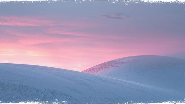 Pastel dawn over rolling snow hills: minimalist arctic landscape with pink sky