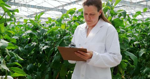 Female Scientist Analyzing Plant Growth in Greenhouse Environment - Download Free Stock Images Pikwizard.com