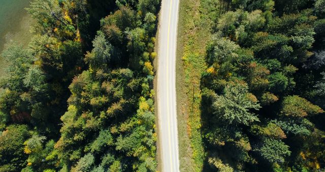 Aerial view of vehicle moving on road at countryside. Road surrounded with dense trees and river 4k