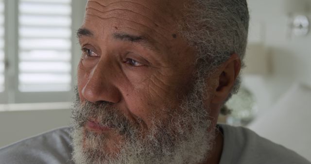 Thoughtful Elderly Man with Grey Hair and Beard Close-up Headshot - Download Free Stock Images Pikwizard.com