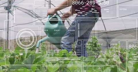 Gardener Watering Plants with Digital Innovations in Greenhouse