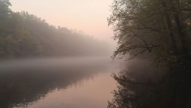 Misty river reflecting pastel dawn sky with leaning tree branch and soft tranquil ripples
