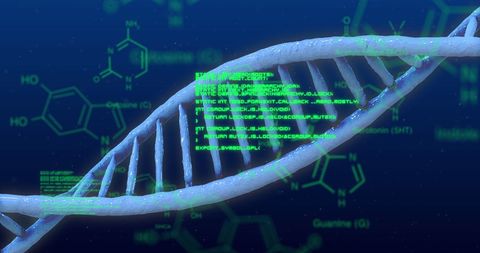 DNA Strand & Chemical Structures with Digital Interface