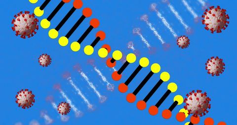 Artsful DNA and Coronavirus Helix Illustrat