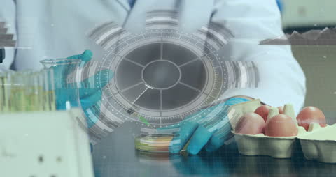 Scientist Conducting Food Safety Analysis in Laboratory