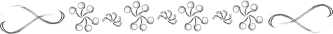 Elegant Floral Border Pattern with Transparent Background - Download Free Stock Videos Pikwizard.com