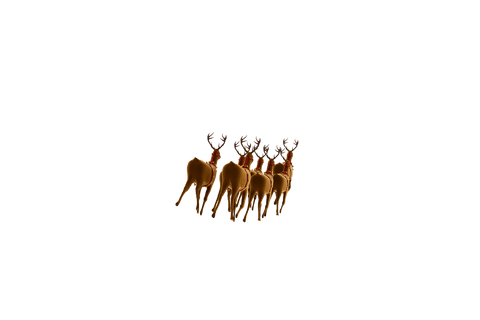 Digital Illustration of Deer Group on Transparent Background