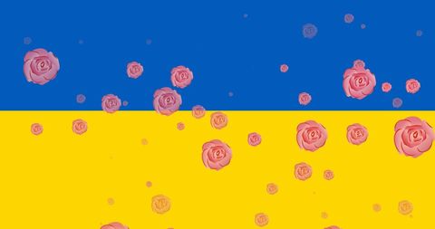 Pink Roses on Ukrainian Flag Illustrating Unity and Support