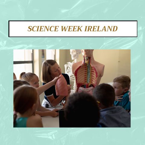children learning human anatomy during science week - Download Free Stock Templates Pikwizard.com