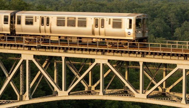 Commuter train crossing elevated steel truss bridge at golden hour over forest canopy