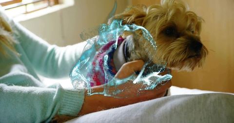 Cozy Canine Hologram: Woman and Pet in Futuristic Home Scene