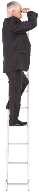 Transparent Businessman Climbing Ladder and Looking Forward - Download Free Stock Videos Pikwizard.com