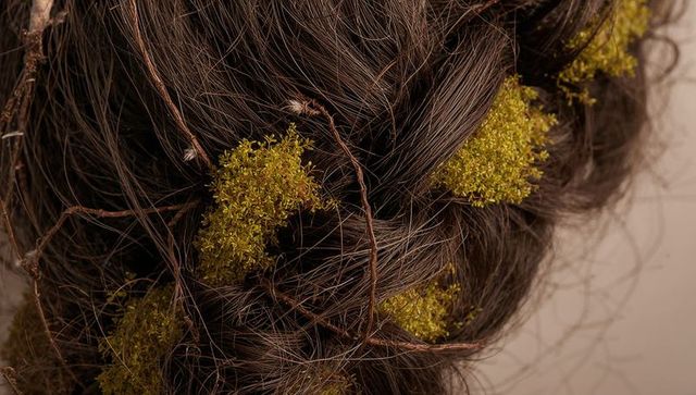 Dark brown braids weaving greenish-yellow moss and twigs macro closeup texture