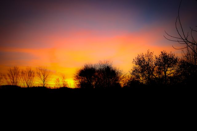 Vibrant Sunset Over Silhouetted Trees with Color Gradient Sky - Download Free Stock Photos Pikwizard.com