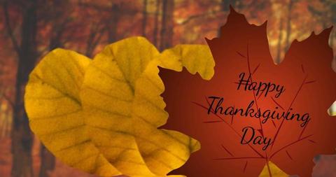 Thanksgiving Greeting with Autumn Leaves Background - Download Free Stock Images Pikwizard.com