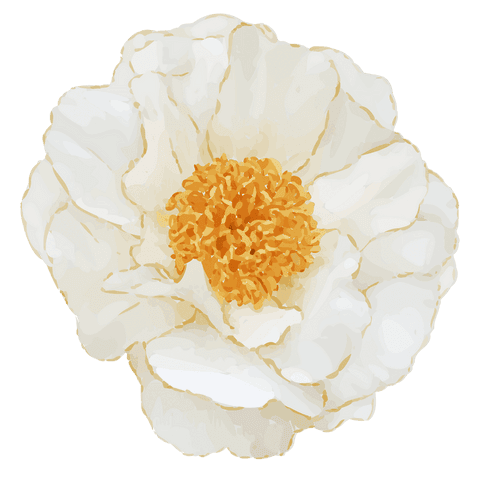 Transparent cream peony bloom with gold center, painterly brushwork floral clipart