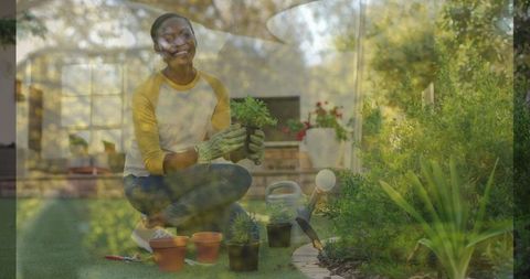 Woman Planting Seedlings in Sunny Backyard Garden