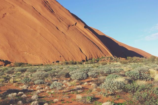 Shows a striking red rock dominance in the Australian desert beside sparse dry shrubs under a clear blue sky. Ideal for promoting tourism, environmental documentaries, outdoor adventure advertising, or nature-related articles.