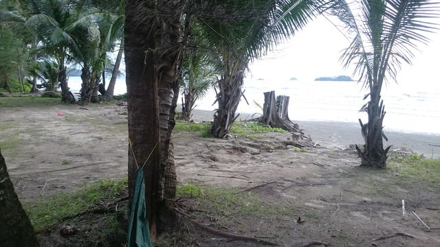 Beach klong prao palms - Download Free Stock Photos Pikwizard.com