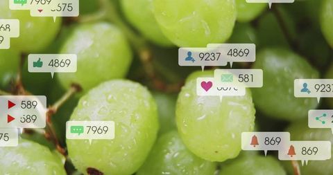Green grape cluster showing social media notification overlays and dew-covered texture