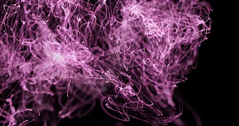 Vibrant Pink Light Trails on Black Background