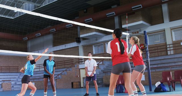 Female Volleyball Team Playing Match in Indoor Gym - Download Free Stock Images Pikwizard.com