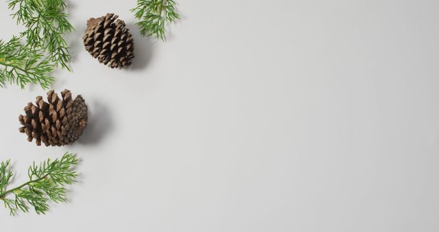 Image of christmas decorations with pine cones and copy space on white background - Download Free Stock Photos Pikwizard.com