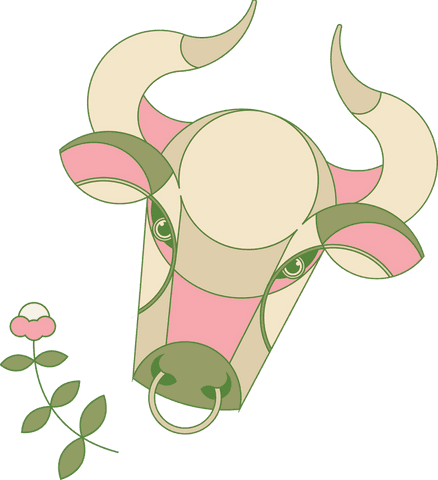 Minimalist Geometric Bull Head on Transparent Background with Floral Element