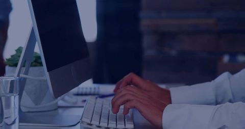 Typing at Minimalist Office Desk with Desktop Monitor and Succulent Plant, Professional Focus