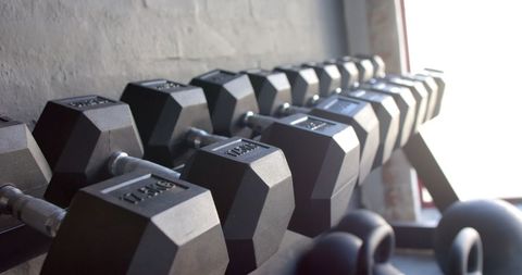 Gym Dumbbell Rack in Natural Sunlight - Download Free Stock Images Pikwizard.com