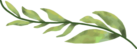 Artistic green leafy branch with transparent background in watercolor style