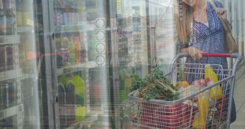 Caucasian Woman Grocery Shopping with Financial Data Overlay - Download Free Stock Images Pikwizard.com