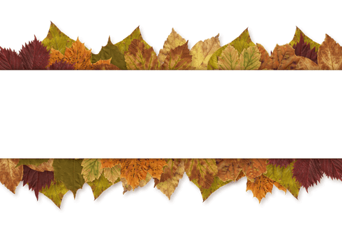 Transparent Autumn Leaves with Blank Stripe for Text Overlay - Download Free Stock Videos Pikwizard.com